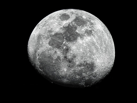 FF 286 011_01 N40