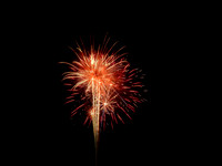 FF 307 124 N