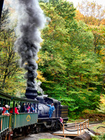 FF 431 6999 N