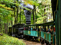 FF 431 6062 N