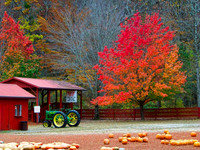 Seasonal Encounters