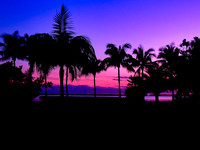 FF 225 029 _01 L