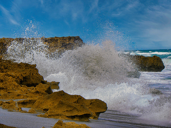 FF 112 254 _01 N2