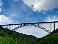 FF 431 3195 N335