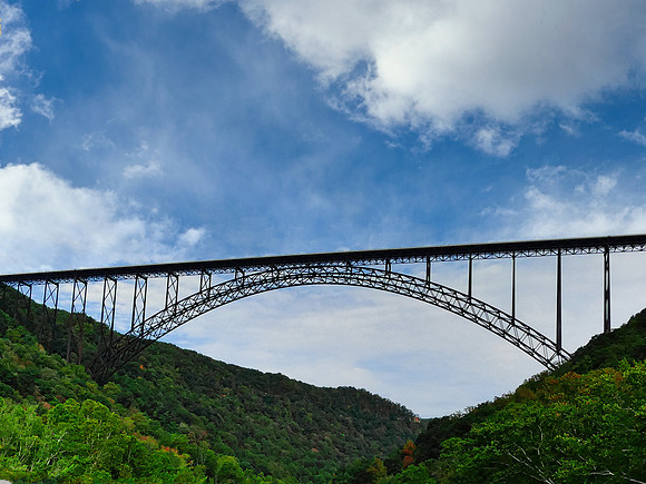 FF 431 3195 N335