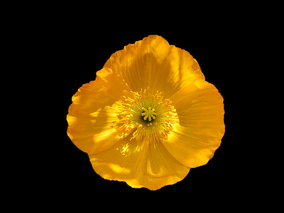 FF 227 629 N