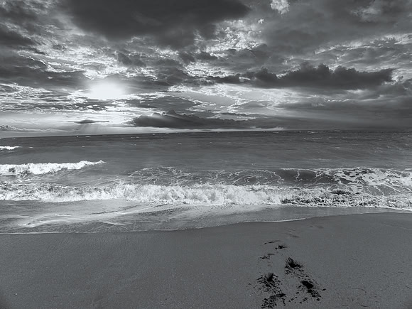FF 112 057_01 N2