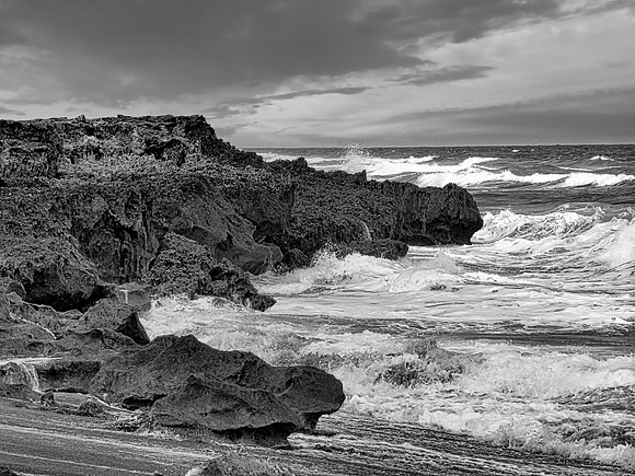 FF 112 231_01 LN2