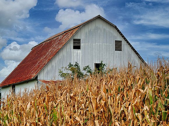 FF 253 362 _01 N2