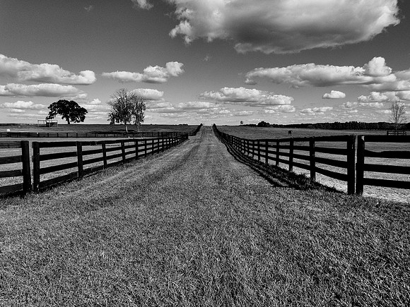 FF 292 824_01 N