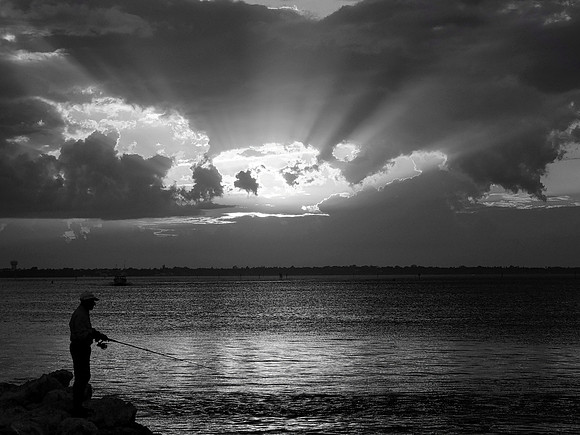 FF 242 198_01 N