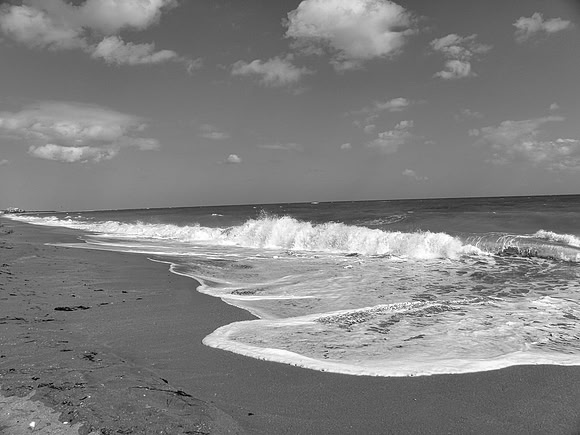 FF 112 061_01 N