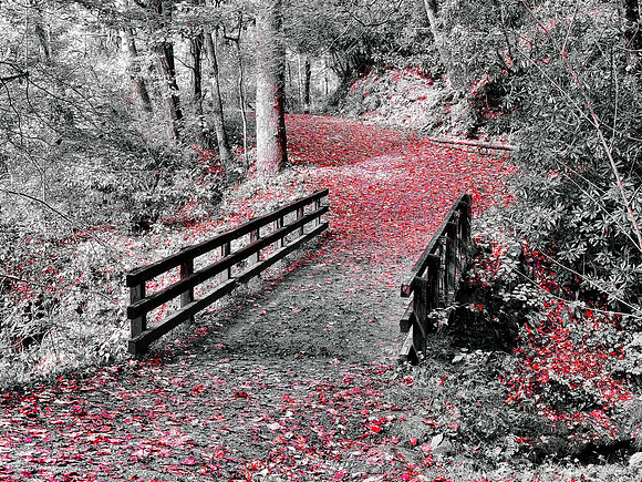 FF 272 541_01 _01 L2N2
