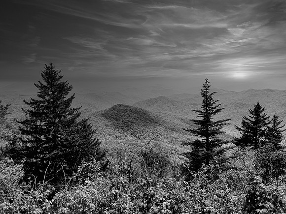 FF 290 2515_01 N