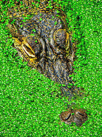 FF 105 375_01 LN