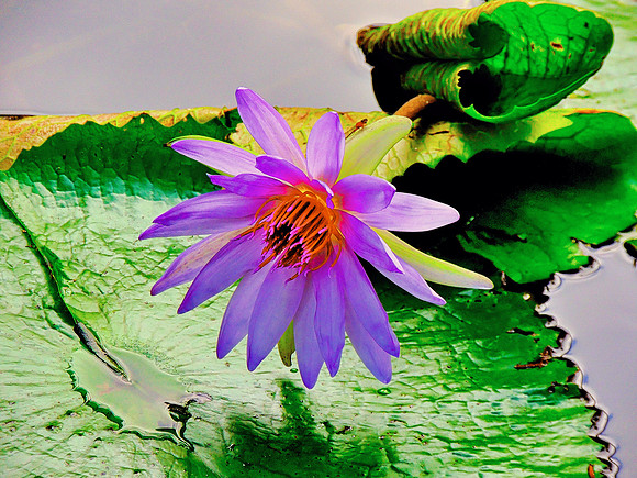 FF 281 335_01 N20