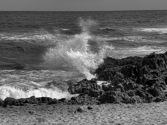 FF 112 401_01 N10