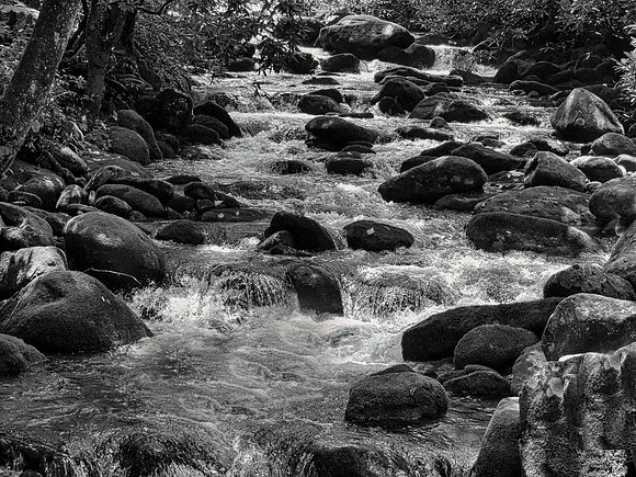 FF 229 678_01 LN15