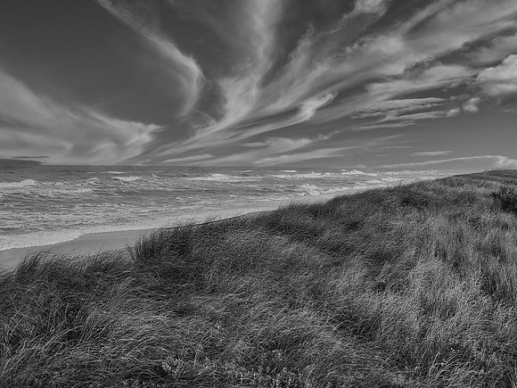 FF 237 779_01 N20