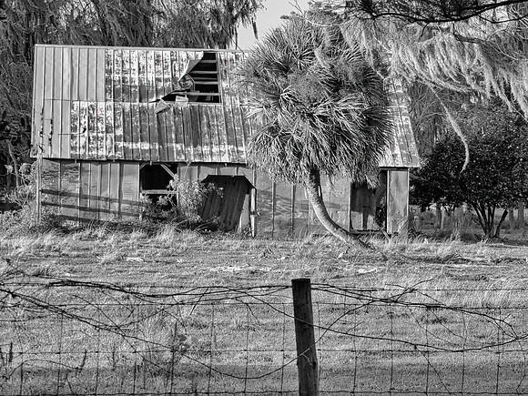 FF 238 484 _01 N10