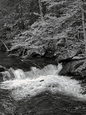 FF 250 1882_01 N10
