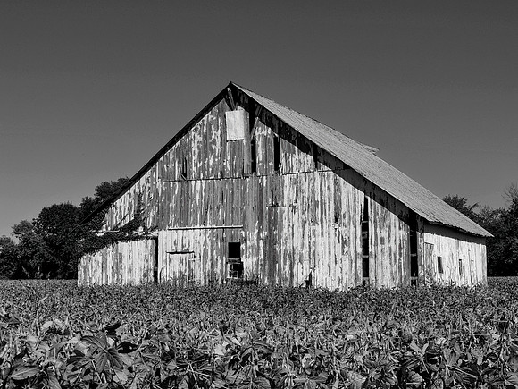 FF 256 124_01 N10