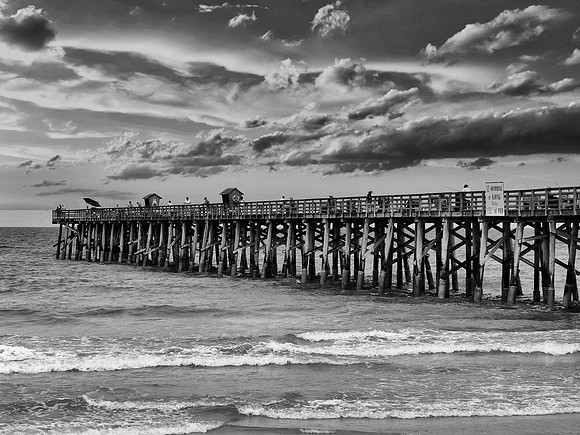 FF 279 198_01 LN