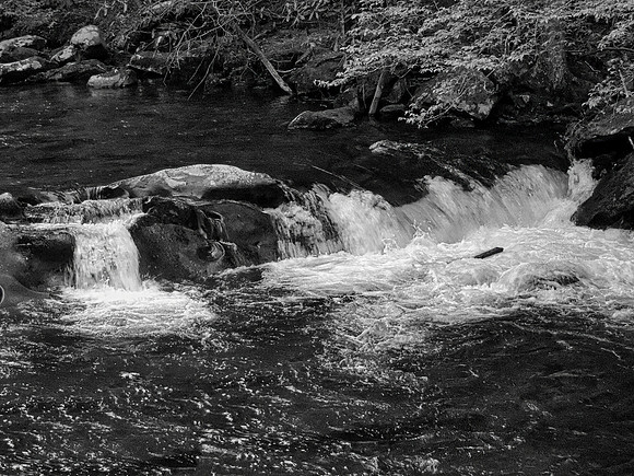 FF 250 1887_01 N10