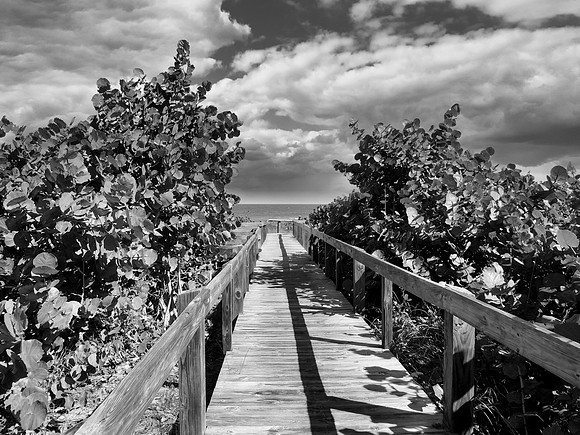 FF 256 276_01 L