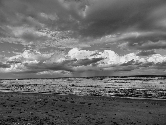 FF 209 112 C_01 L