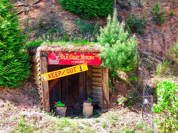 FF 250 076 N