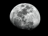 FF 286 011_01 N40