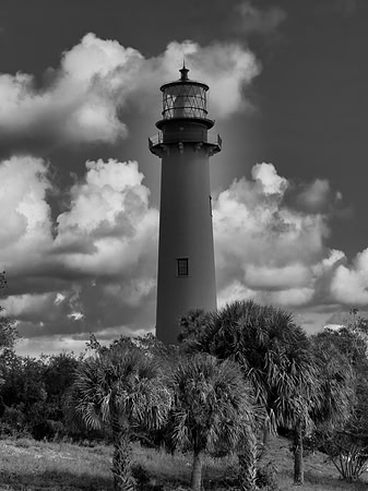 FF 112 425 C_01 L