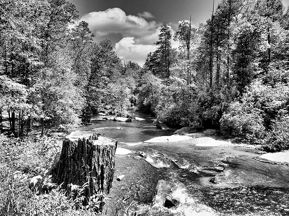 FF 290 2500_01 N